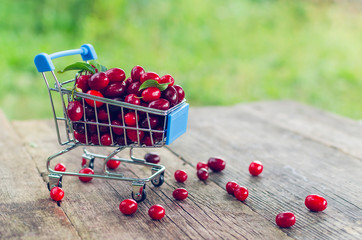 Small shopping trolley with red dogwood berries on an old wooden table
