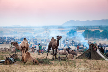 Pushkar Camel Fair, Pushkar, Rajasthan