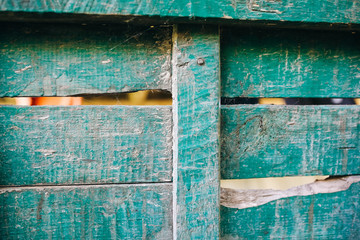 Old vintage green wooden planks of the house. Peeled wood texture background. Rustic village concept.