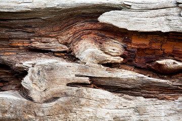  Wood texture with natural pattern.