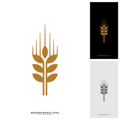 Wheat Luxury Grain and bread labels. Nature wheat. Agriculture wheat Logo Template Vector