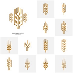 Set of Wheat Luxury Grain and bread labels. Nature wheat. Agriculture wheat Logo Template Vector
