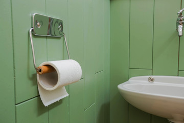 A white roll of soft toilet paper neatly hanging on a modern chrome holder on a green bathroom wall.