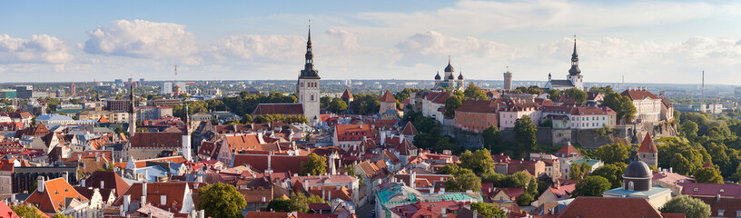 Bright colourful aerial shot of old town of Tallinn, Estonia at sunny day. A very vide panoramic. - obrazy, fototapety, plakaty