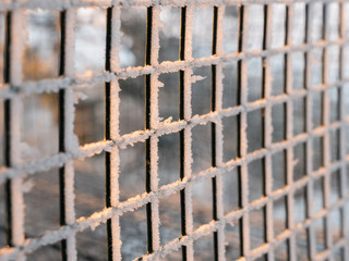 Frosty iron net fencing