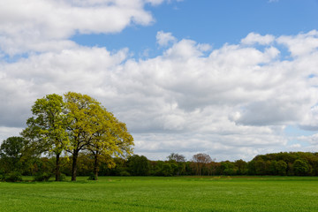 am Niederrhein