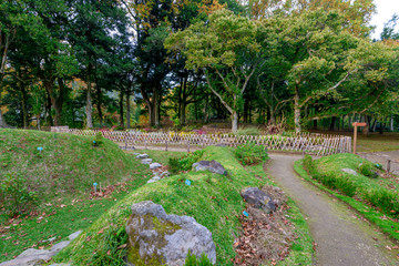 Beautiful Terra Nostra Botanical Park, Azores