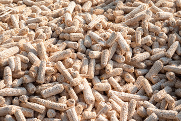 Corn cobs pile on the ground.