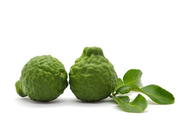 Bergamot (Citrus hystrix) isolate on white background.