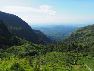 Fototapeta na wymiar View from Lipton's seat, Sri Lanka