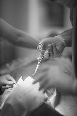 Dentist doctor's hand in protective glove with a tool while working