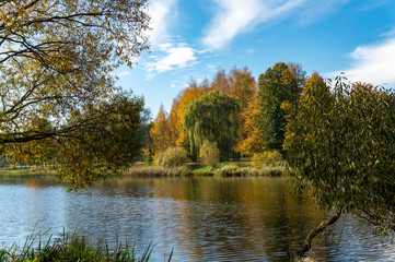 Autumn foliage casts reflection on the calm waters