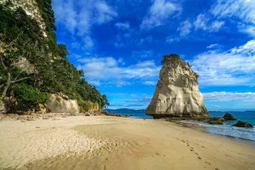 Fototapeten mächtiger Sandsteinfelsenmonolith am Cathedral Cove Beach, Coromandel, Neuseeland 10 © Christian B.