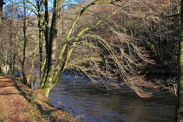 Sur les bords de la Vézère.