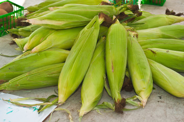 Top, front view, close distance of a pile of freshly picked, local ears of corn on display and for sale at a tropical farmers market, on a sunny, winter morning
