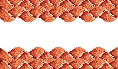 Abstract texture of pigeon wings.