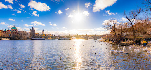 Naklejka premium Panoramatic view of Prague Charles bridge near the Vltava river. Swan on the river. Prague is czech capital and important tourist destination.