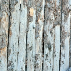 Textura secadero madera antiguo
