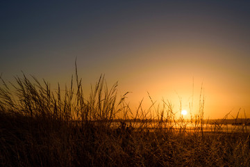 Obraz premium sunrise over field