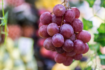 Uvas