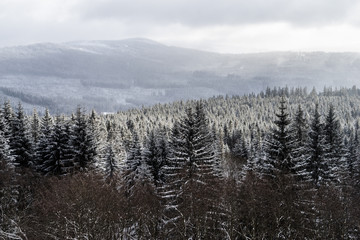 Winterpanorama. Winterstraße. Winterurlaub. Winterparadies. Österreich. Italy. Deutschland. Russland.