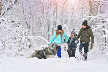 Fototapeta na wymiar Happy family with dog outdoors in a winter forest. Mother, fother, son and big pet dog. Giant Caucasian Shepherd Dog.