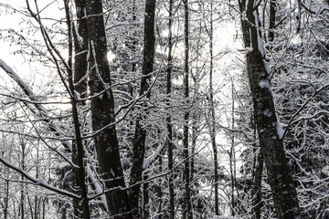 Winterpanorama. Winterstraße. Winterurlaub. Winterparadies. Österreich. Italy. Deutschland. Russland.