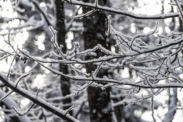 Winterpanorama. Winterstraße. Winterurlaub. Winterparadies. Österreich. Italy. Deutschland. Russland.