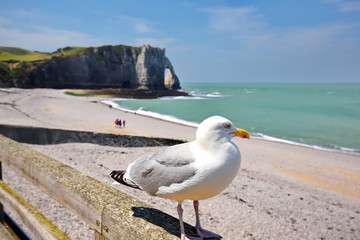 Etretat