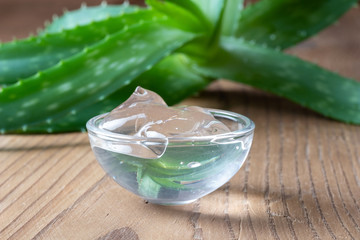 Aloe vera gel in a glass bowl, with fresh aloe vera plant in the background
