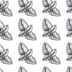 Vector vintage seamless pattern with mint leaves in engraving style. Hand drawn botanical texture with peppermint tips isolated on white. Black and white sketch. Herbal ingredient.