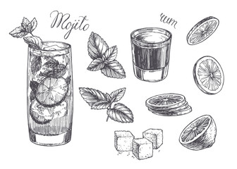Vector vintage illustration for cocktail recipe. Hand drawn mojito in glass, peppermint leaves, slices of lime, rum and lump sugar. Sketch of ingredients and drink.