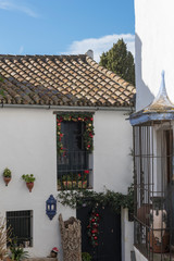 Castellar de la Frontera, municipio español situado en la provincia de Cádiz.   © Manueltrinidad