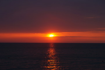 Все в новинку 