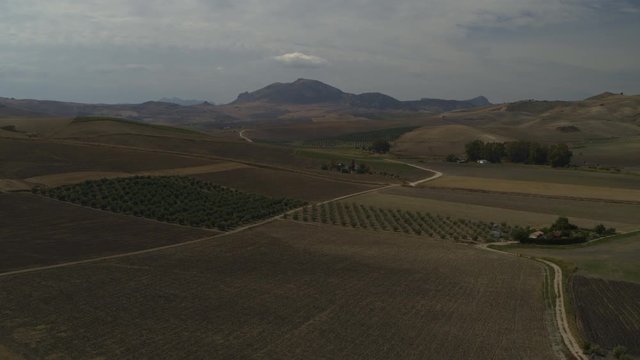Aerial view of landscape of farm with olive orchard / Olvera, Malaga, Spain