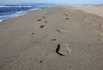 human footprints on the sand. walk on the shoreline of the sea