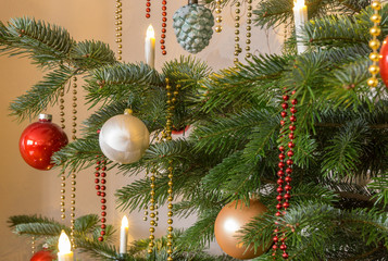 christmas tree background
