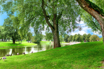 Fototapeta na wymiar Green lawn and trees at river with boats under blue cloudy sky.