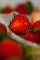 Fresh Strawberries
