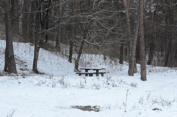 bench in the park in the snow in winter