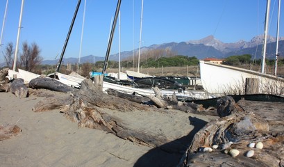 small abandoned fishing boats and tree trunks dragged on the beach by the sea current. small marina...