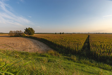 Views of Basso Lodigiano Landscapes