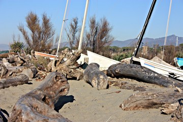 small abandoned fishing boats and tree trunks dragged on the beach by the sea current. small marina...
