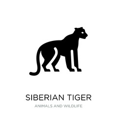 siberian tiger icon vector on white background, siberian tiger t