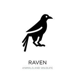 raven icon vector on white background, raven trendy filled icons