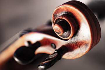 Violinenkopf