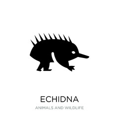 echidna icon vector on white background, echidna trendy filled i