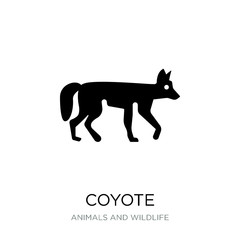 coyote icon vector on white background, coyote trendy filled ico
