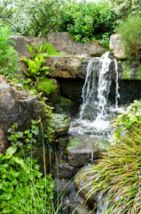 Fototapeta na wymiar waterfall in an English garden