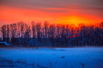 Winter Landscape with Snowy Forest at sunset